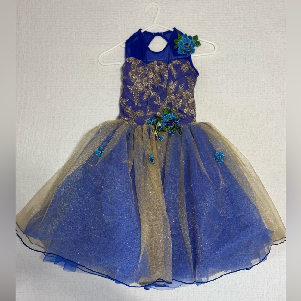 Elegant Kids Ballet Dance Dress/Costume in Blue and Gold